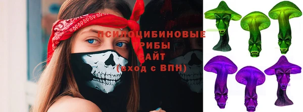 ПСИЛОЦИБИНОВЫЕ ГРИБЫ Михайлов