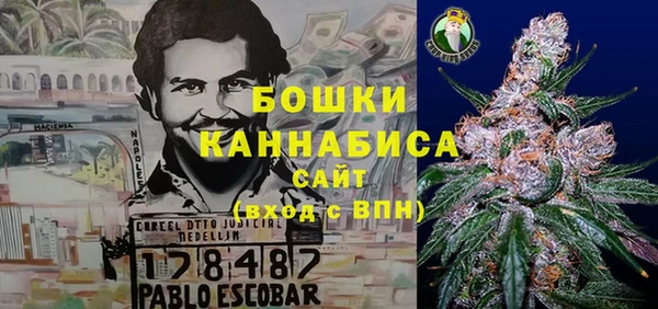 ПСИЛОЦИБИНОВЫЕ ГРИБЫ Михайлов