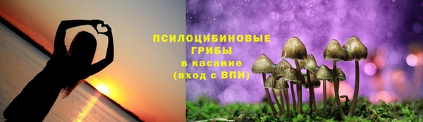 MDMA Новый Уренгой