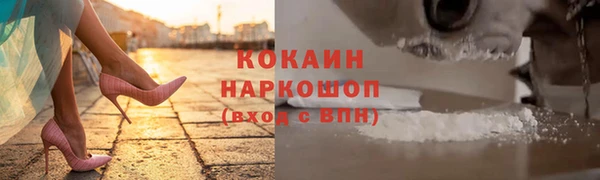 прущие грибы Семилуки