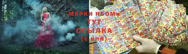 ПСИЛОЦИБИНОВЫЕ ГРИБЫ Михайлов
