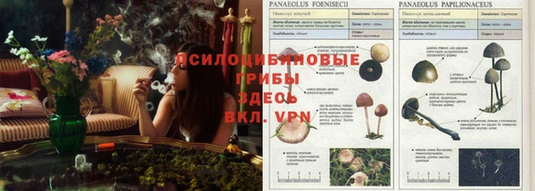 каннабис Наволоки