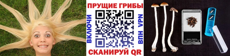 Галлюциногенные грибы MAGIC MUSHROOMS  где найти   Ноябрьск 