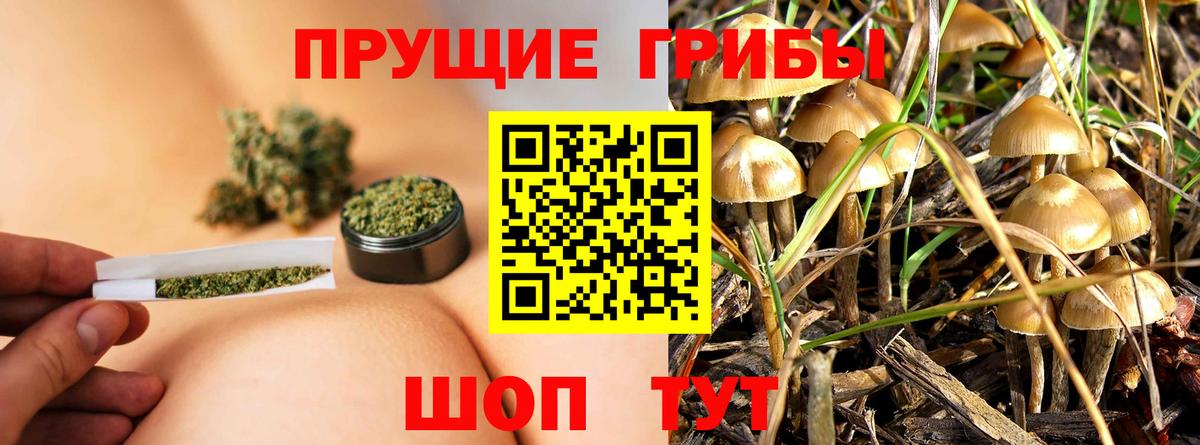 продажа наркотиков  Галлюциногенные грибы Magic Shrooms  Вход с VPN  Ноябрьск  Галлюциногенные грибы Psilocybe 